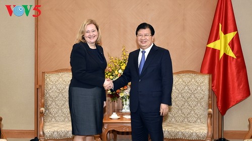Trinh Dinh Dung trifft den Botschafter Russlands und die Botschafterin Irlands - ảnh 1